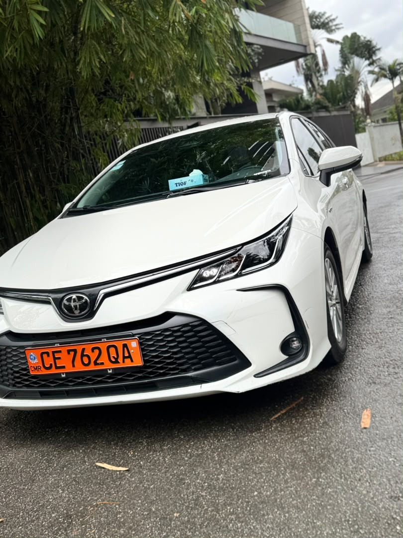 Toyota Easyride